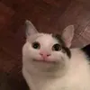 biiluga