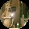 jessmanuelrodrgue22