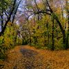 iriska_iriroki555