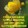 user7753320687474