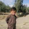 khanwali8841