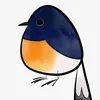 moyos__bird