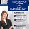 spyderwebrecovery