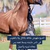 samir.yasan