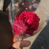 .sadiya.islam41