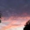 3nbombo