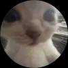 nduykhanhhh2