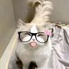 lluvv.nunn