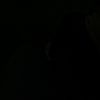 user8118818748479