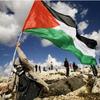 free.palestina821