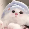 nhonaycutehe