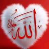 user0327malik