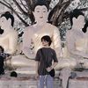 shinewaiyan887