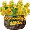 user959023174