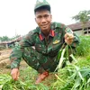 hyup81lpang