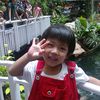 zwa.net