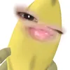 _bhansociu