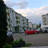 mrowek9