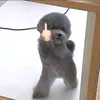 ffyui91