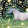 winiary.x.horses
