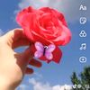 user5523561158683