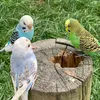 loujii_luvs222