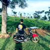 panggilajaarissss