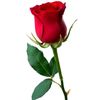 ahmad69844