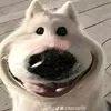 binhperfec