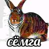 a_chto_govorit_too