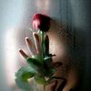 user5562972077618