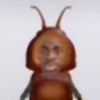 chloebug2ya1