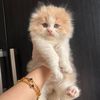 maram.maram848