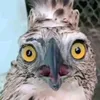 cungnhauthongtritiktok