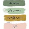 bilalniazi389