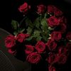 dream_mood__