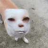 y0nk3rsss
