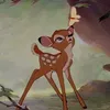 kbtuib