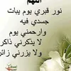 motaz0ibrahim1