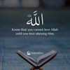 aya.hashim0
