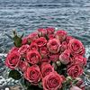 malak10_nann888