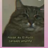 negaflordezaira