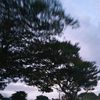 agniea09