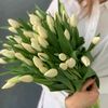 halima6888