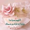 doaa8419