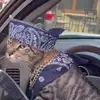 alexey.ivanovich3