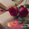 haib51
