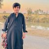 shahmurad742