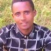 bereket4170