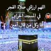 user7377421263261
